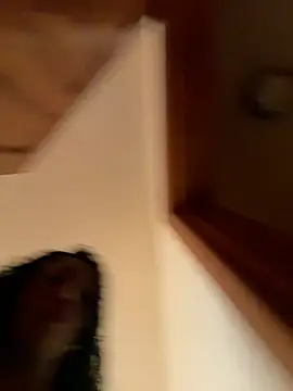 SUUKAM Live Webcam on Stripchat