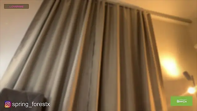 spring_forest - Spring_forest's free webcam