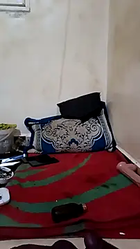 trans511 Live Webcam on Stripchat