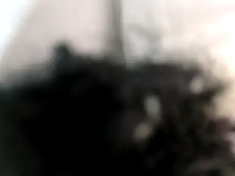 hot-sana2 - Hot-Sana2's free webcam