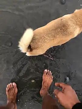 kvr27 (Ask my age) - #big-cocks #cam2cam #cheap-privates #colorful #doggy-style #ejaculation #erotic-dance #fingering #flexing #foot-fetish #handjob #hd #latin #massage #masturbation #mobile #muscular #oil-show #outdoor #penis-ring #peruvian #recordable-privates #recordable-publics #small-audience #spanish-speaking #straight #striptease #top