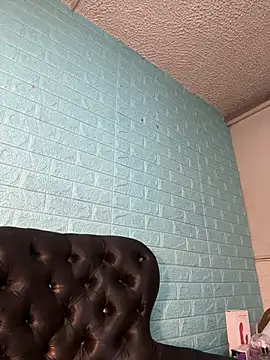 SALOME_KORLAND webcam