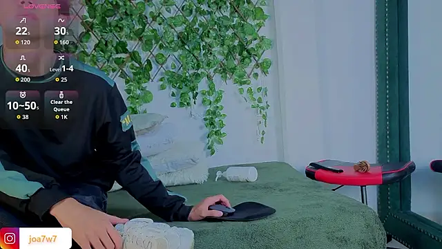 Levii_Ackermann webcam