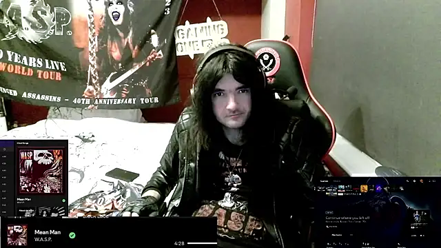 Rocker_Assassin_WASP_FAN webcam
