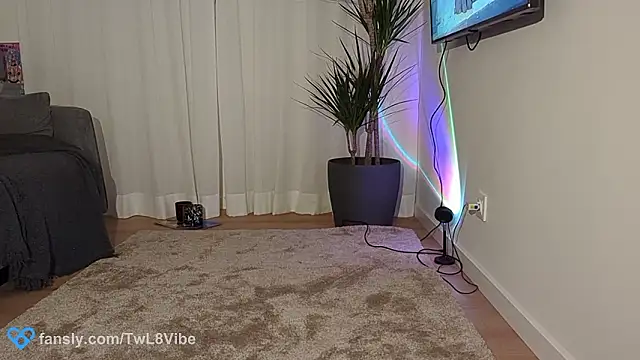 twl8vibe webcam