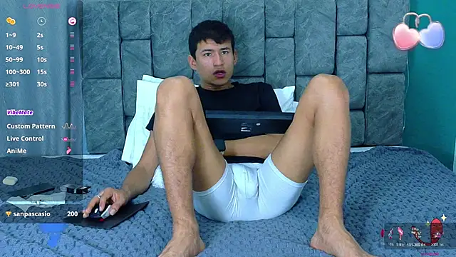 Nicolas_Torres_ webcam