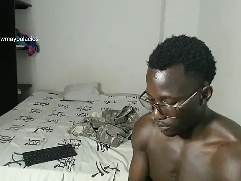 _Lowmaypalacios webcam