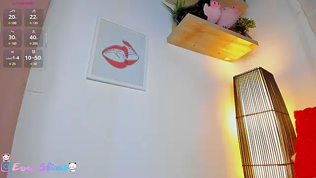 eva-slim- webcam