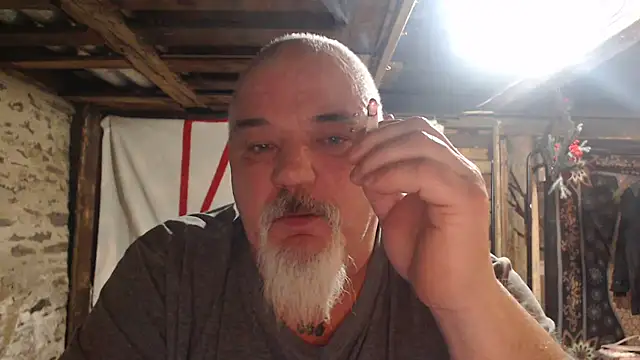 Newfiesausage1972 webcam