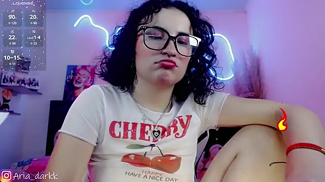 AriaDark webcam
