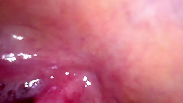 shannon_kinne_ webcam