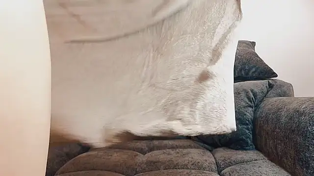 angelinepossy - Angelinepossy's free webcam