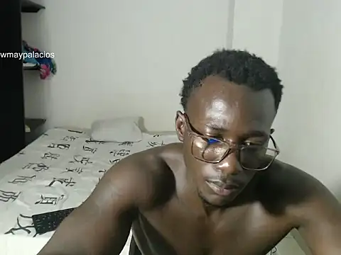 _Lowmaypalacios webcam