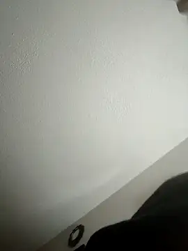 ReallyReallyReal webcam