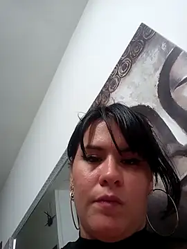 paris_laurens webcam