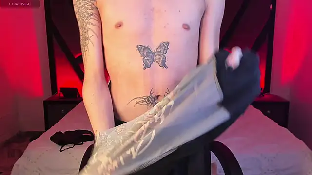 AndyWiilliams webcam