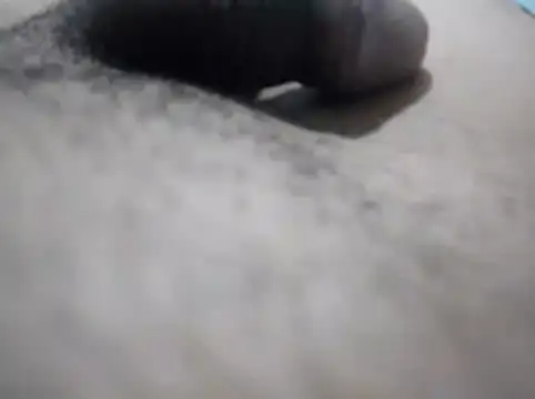 Bite_spectaculaire webcam