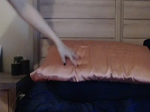 certifiedratchet webcam