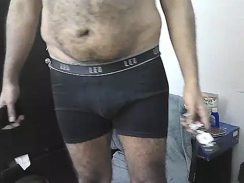 AlphaLatinoBear webcam