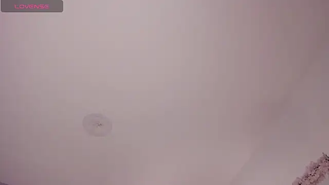 laureen_se - Laureen_se's free webcam