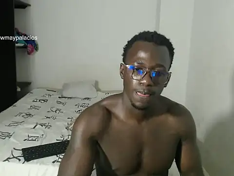 _Lowmaypalacios webcam