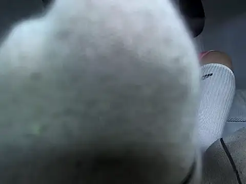 findomlatin - Findomlatin's free webcam