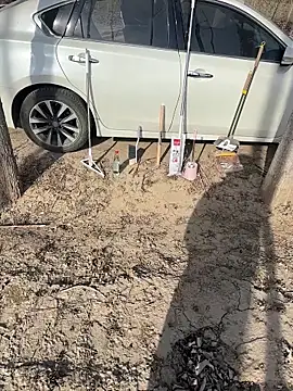 美女goudanlove在线直播