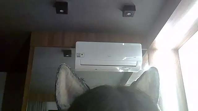 SkinnyKitten webcam
