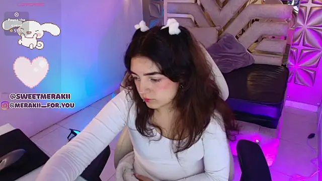 meraki_fraise webcam