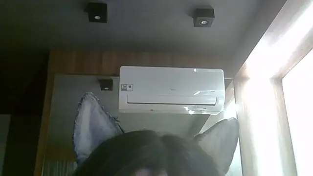 SkinnyKitten webcam