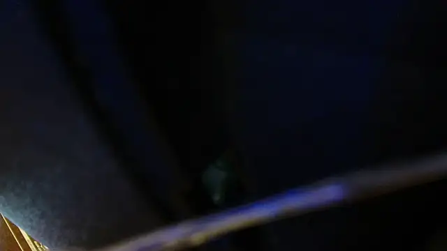 davidgntxxxxx webcam