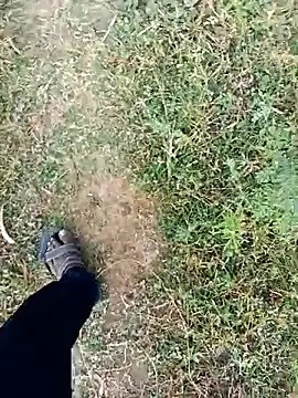 dolphiinn (M young) - #best #big-cocks #bisexuals #black-hair #cam2cam #cheapest-privates #handjob #hd #indian #medium #mobile #oil-show #outdoor #shower #small-audience #striptease #young