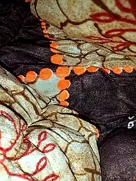 Raj-rajendri__sexy24 webcam