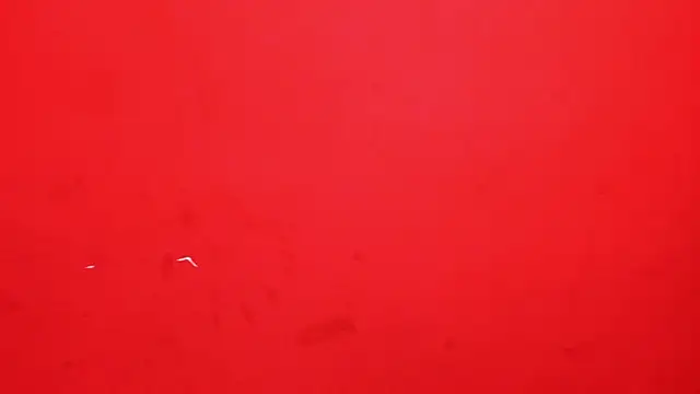 Charlotte_Bms7 webcam