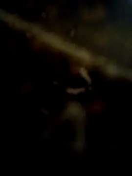 CockForPussy1508 webcam