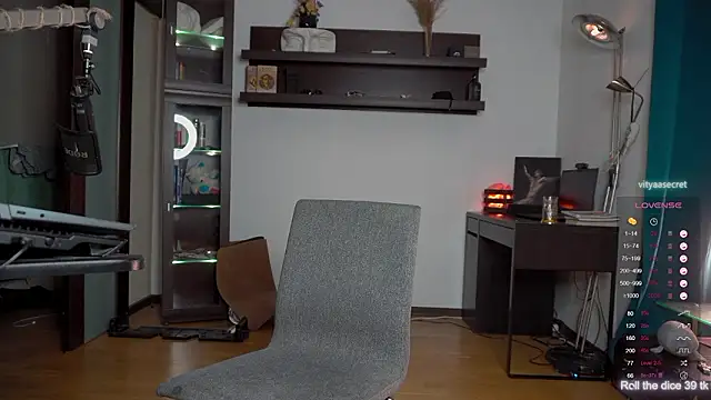 VIktorSecret webcam