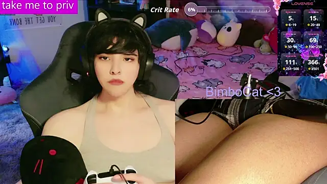 BimboCat webcam