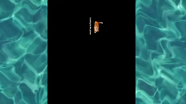 saiyantiki (G young) - Juego anal con las 2