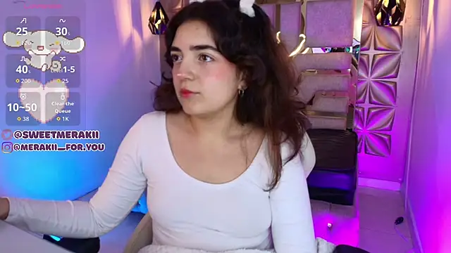 meraki_fraise webcam