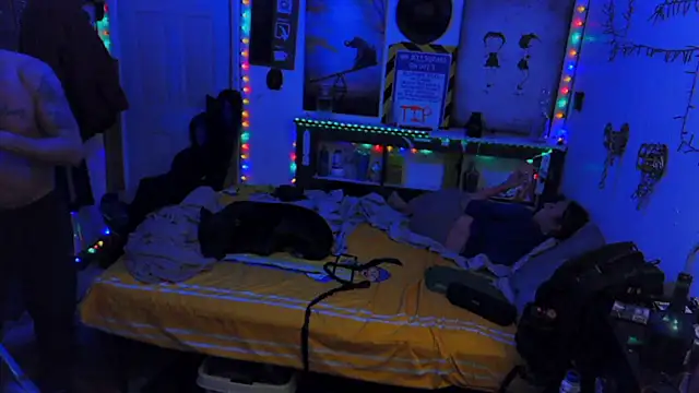 Buffshagswell webcam