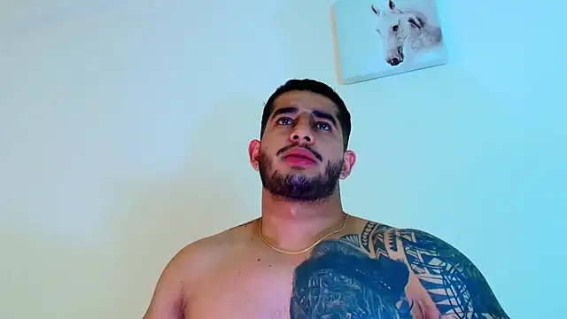 king_falconer webcam