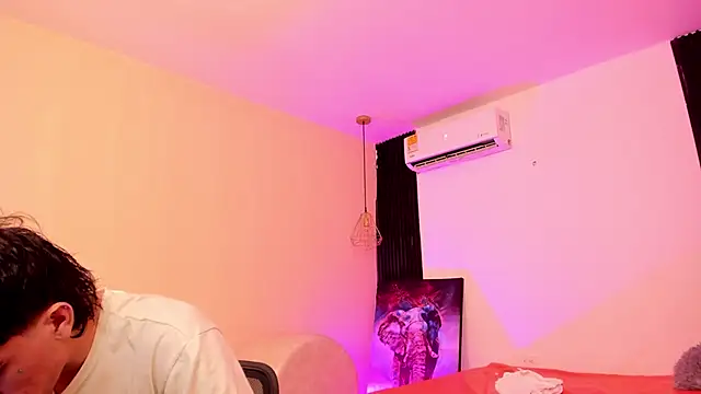 Handsomeboyss19 webcam