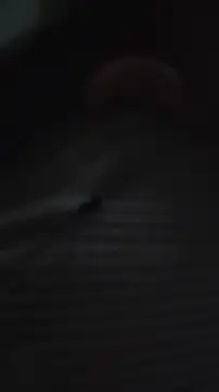 BlueCollarCouple webcam