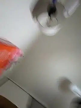 Bruno_and_zacha webcam