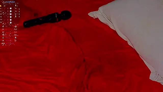 Hollara_Bangg webcam