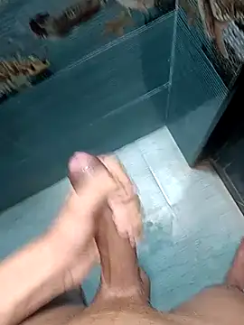 FloweredShallow webcam