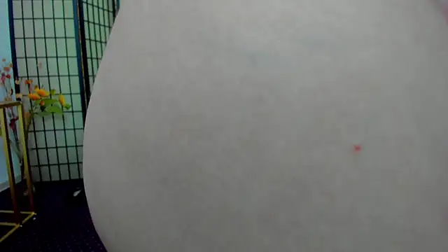 aisharouhi - AishaRouhi's free webcam