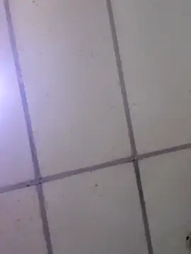 Kimberly_2312 webcam