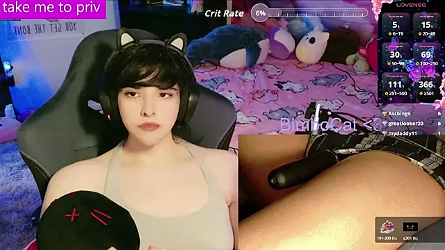 BimboCat webcam