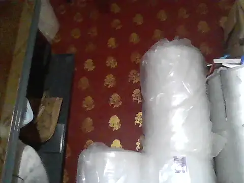 Stubborndesiboy webcam